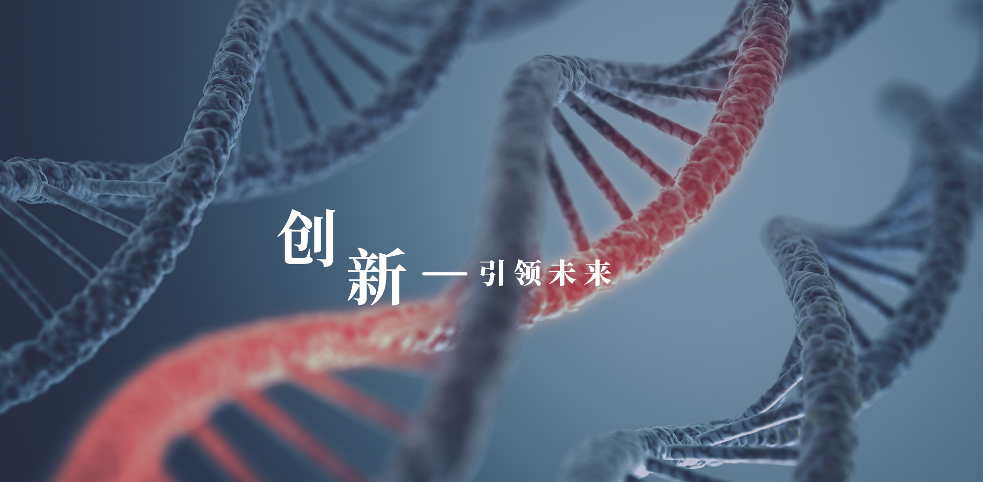 云鼎国际(中国)有限公司官网